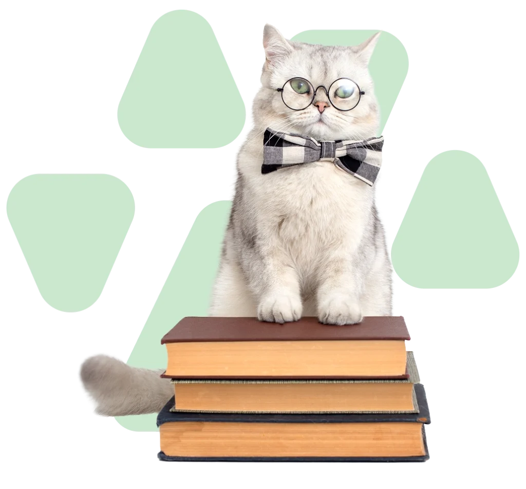 Gato con lentes y moño