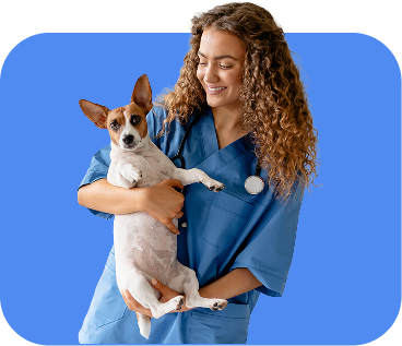 Veterinaria con jack russell