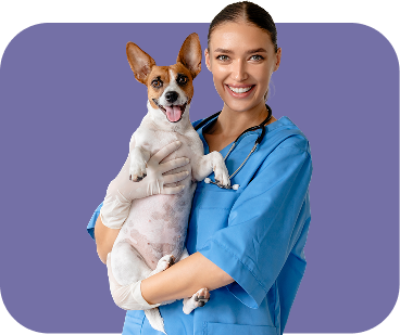 Veterinaria con jack russell sonriendo