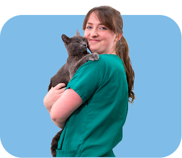 Veterinaria con gato gris