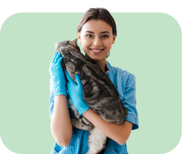 Veterinaria con gato con manchas